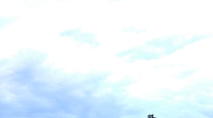 Parada cu torțe de la Rhabon Fest, diseară, în Parcul Narciselor