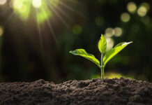 Agricultura pe înțelesul tuturor – Cum să ne purtăm prietenos cu natura, dar să ne protejăm și culturile (I)