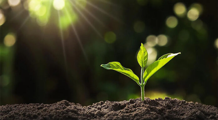 Agricultura pe înțelesul tuturor – Cum să ne purtăm prietenos cu natura, dar să ne protejăm și culturile (I)