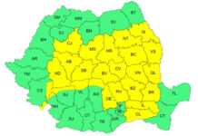 Cod galben de furtuni