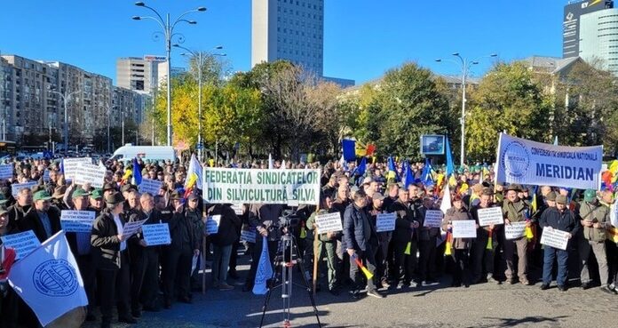 Protest al silvicultorilor, ceferiştilor și rezerviștilor militari