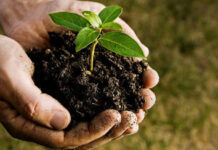 Agricultura pe înțelesul tuturor – Cum să ne purtăm prietenos cu natura, dar să ne protejăm și culturile (II)