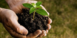 Agricultura pe înțelesul tuturor – Cum să ne purtăm prietenos cu natura, dar să ne protejăm și culturile (II)