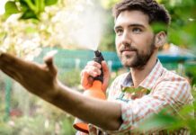 Rolul biostimulatorilor în agricultură