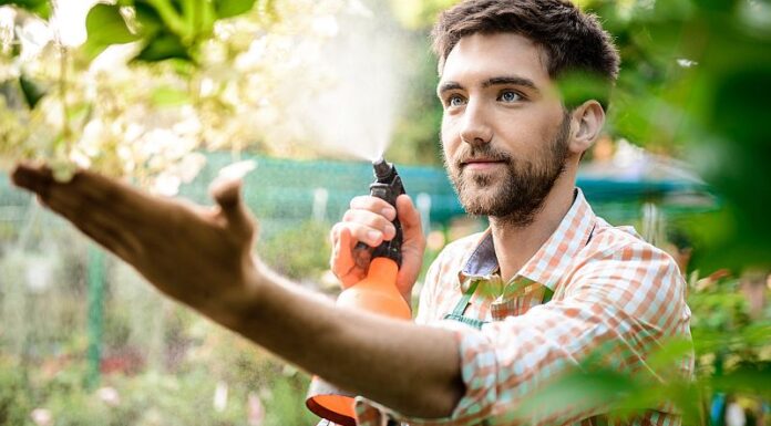 Rolul biostimulatorilor în agricultură