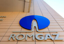 Greenpeace, la mâna judecătorilor