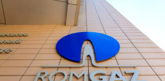 Greenpeace, la mâna judecătorilor