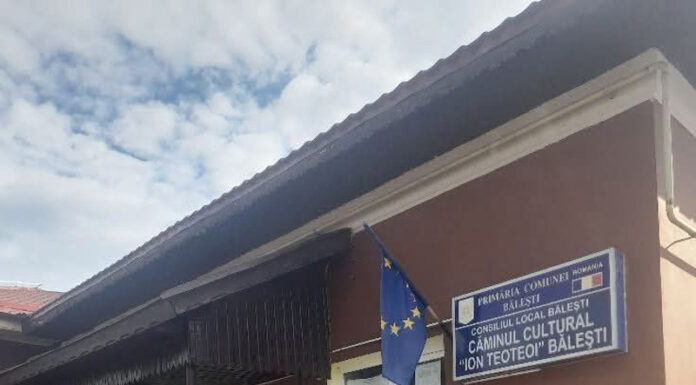 Dosar penal după dispariția unei ștampile, la o secţie de votare din Bălești