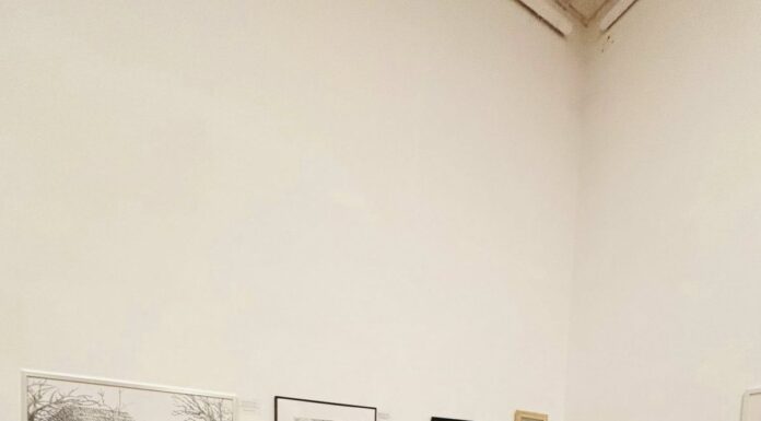 Tineri artiști din țară, premiați la Concursul Național „Emancipare”, derulat de ȘPA Târgu Jiu