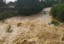 Controale în toată Valea Jiului
