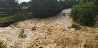 Controale în toată Valea Jiului