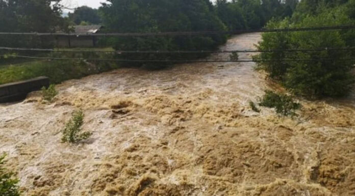 Controale în toată Valea Jiului