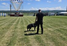 Ziua Copilului, sărbătorită la Turceni