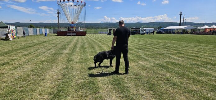 Ziua Copilului, sărbătorită la Turceni