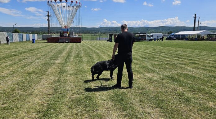 Ziua Copilului, sărbătorită la Turceni