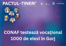 Testare vocațională pentru elevii din Gorj