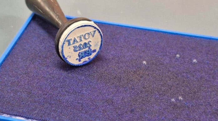 Au votat degeaba! Peste 1.600 de voturi nule în Gorj