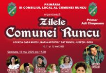 Andreea Bălan va cânta la Runcu