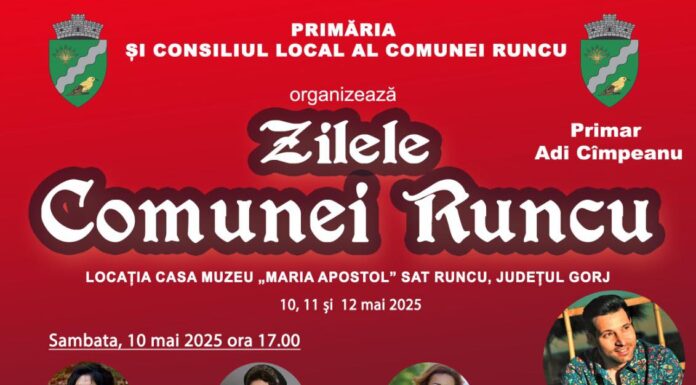 Andreea Bălan va cânta la Runcu