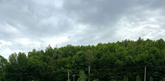 Țicleni va găzdui finala cupei județene