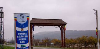 Gorjul se extinde pe harta energiei verzi. Parc fotovoltaic la Bălănești