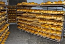 Brutărie din Gorj, amendată cu 50.000 lei! Fără igienă, fără documente, fără apă caldă