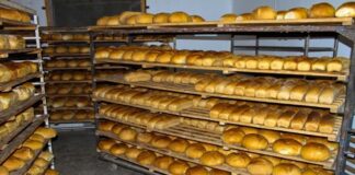 Brutărie din Gorj, amendată cu 50.000 lei! Fără igienă, fără documente, fără apă caldă