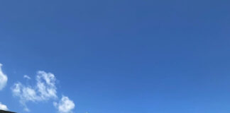 Cupa și campionatul! CSM Târgu Jiu a făcut ,,dubla” în Gorj