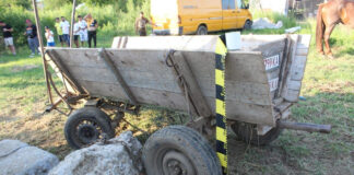 Noapte petrecută în arest, după o cursă ilegală de cai