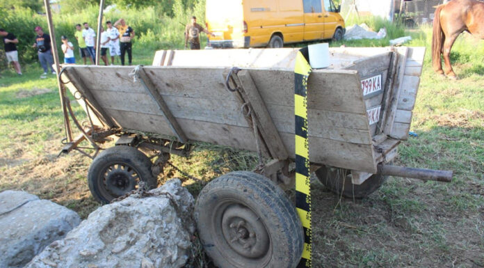 Noapte petrecută în arest, după o cursă ilegală de cai