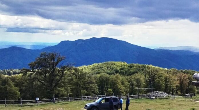 Norocul unui șofer rămas în pană, pe un traseu montan, într-o zonă fără semnal la telefon