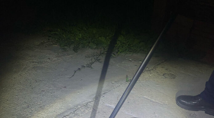 FOTO: Șarpe de peste un metru și jumătate, scos de jandarmi dintr-o magazie din Ciuperceni