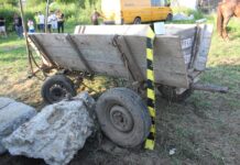 Trei bărbați din Gorj și Argeș, reținuți pentru schingiuirea animalelor