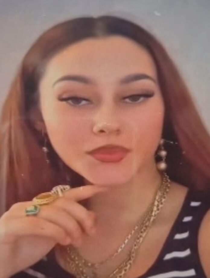 Adolescentă de 13 ani, din Bengești-Ciocadia, căutată de polițiști