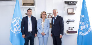 Miruță, la Geneva împreună cu Zgonea!