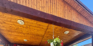 IPJ Gorj: ,,Drogurile nu oferă libertate! Fiecare copil salvat de la dependență este o victorie pentru o întreagă societate”