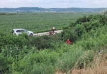 Barajul Ișalnița, curățat de lucrătorii Apele Române