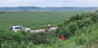 Barajul Ișalnița, curățat de lucrătorii Apele Române