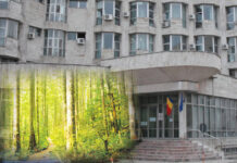 Licitație cu miză mare în Gorj: 48 de hectare de pădure și zeci de bunuri scoase la vânzare