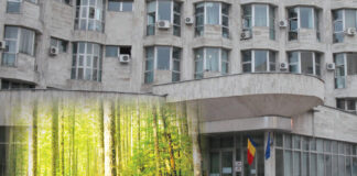 Licitație cu miză mare în Gorj: 48 de hectare de pădure și zeci de bunuri scoase la vânzare