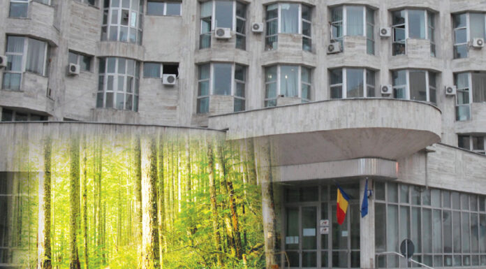 Licitație cu miză mare în Gorj: 48 de hectare de pădure și zeci de bunuri scoase la vânzare