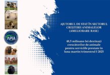 APIA: Bani pentru crescătorii de animale