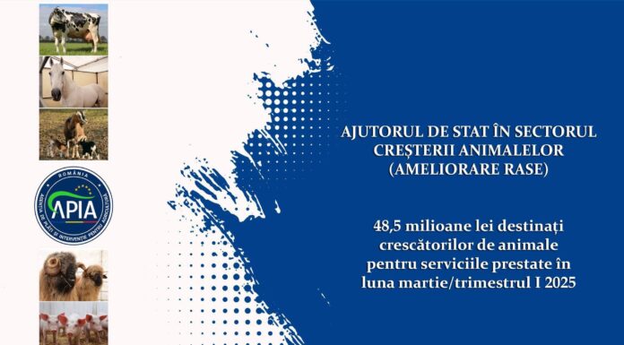 APIA: Bani pentru crescătorii de animale