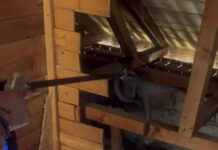 VIDEO: Momente de panică într-o casă din Bărbătești! Un șarpe imens a fost găsit în pod