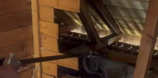 VIDEO: Momente de panică într-o casă din Bărbătești! Un șarpe imens a fost găsit în pod