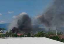 Incendiu de vegetație uscată la Târgu-Jiu