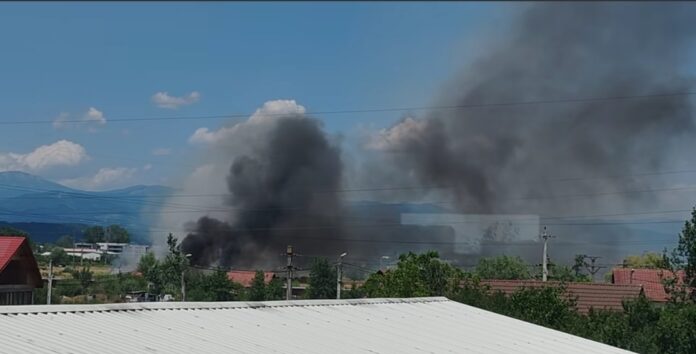 Incendiu de vegetație uscată la Târgu-Jiu