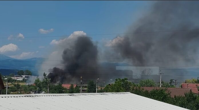 Incendiu de vegetație uscată la Târgu-Jiu