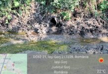 Abator amendat cu 40.000 lei pentru poluarea apelor