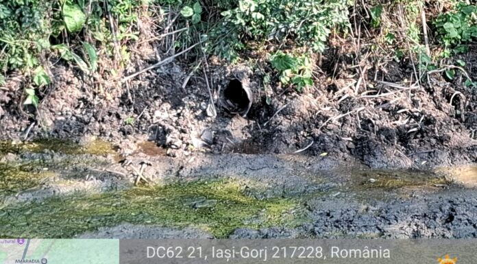 Abator amendat cu 40.000 lei pentru poluarea apelor